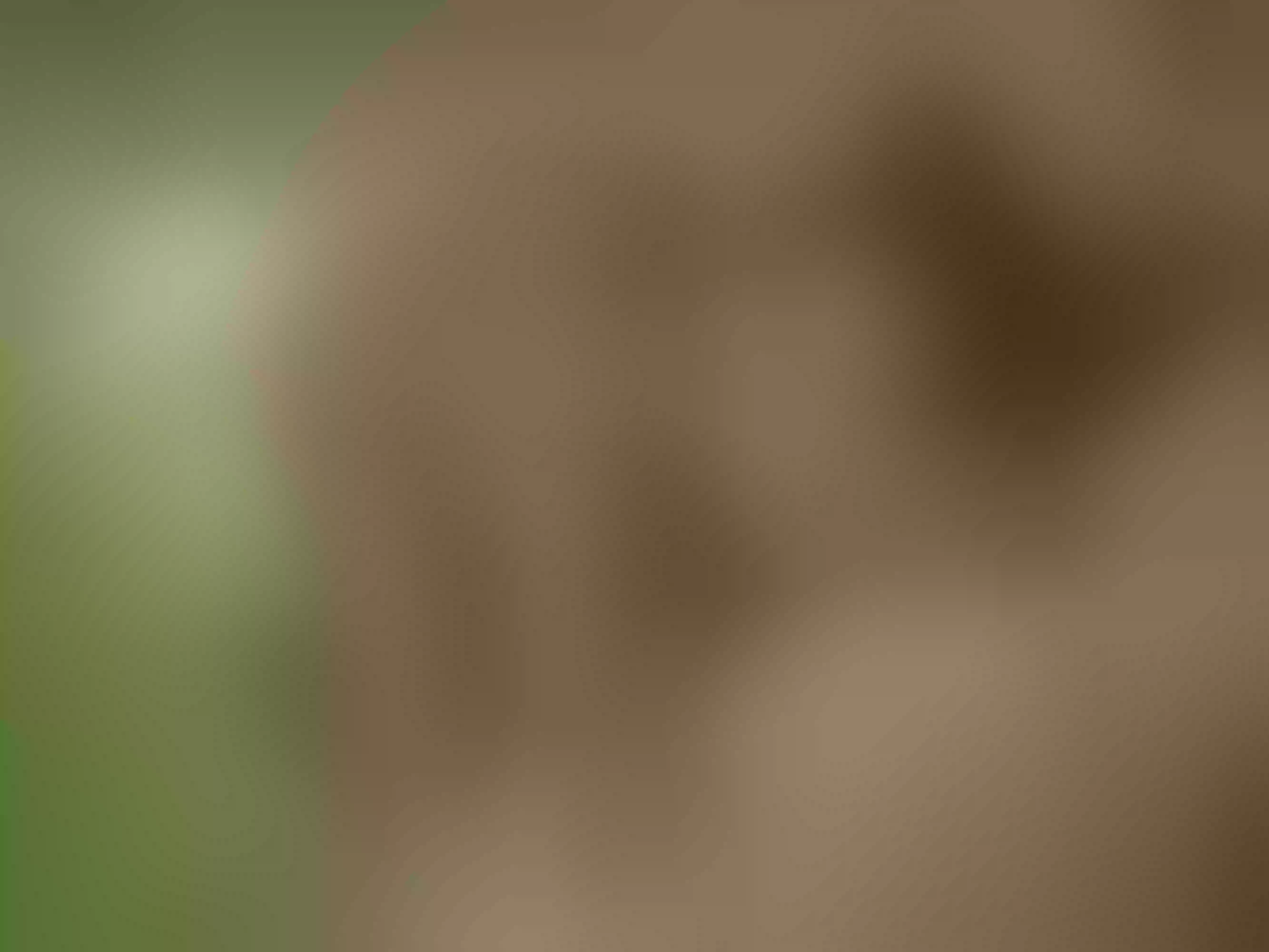 JackieJohnsonXO cam model profile picture