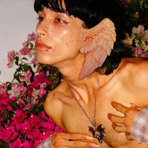 Artista DaveCummingcock Foto 3