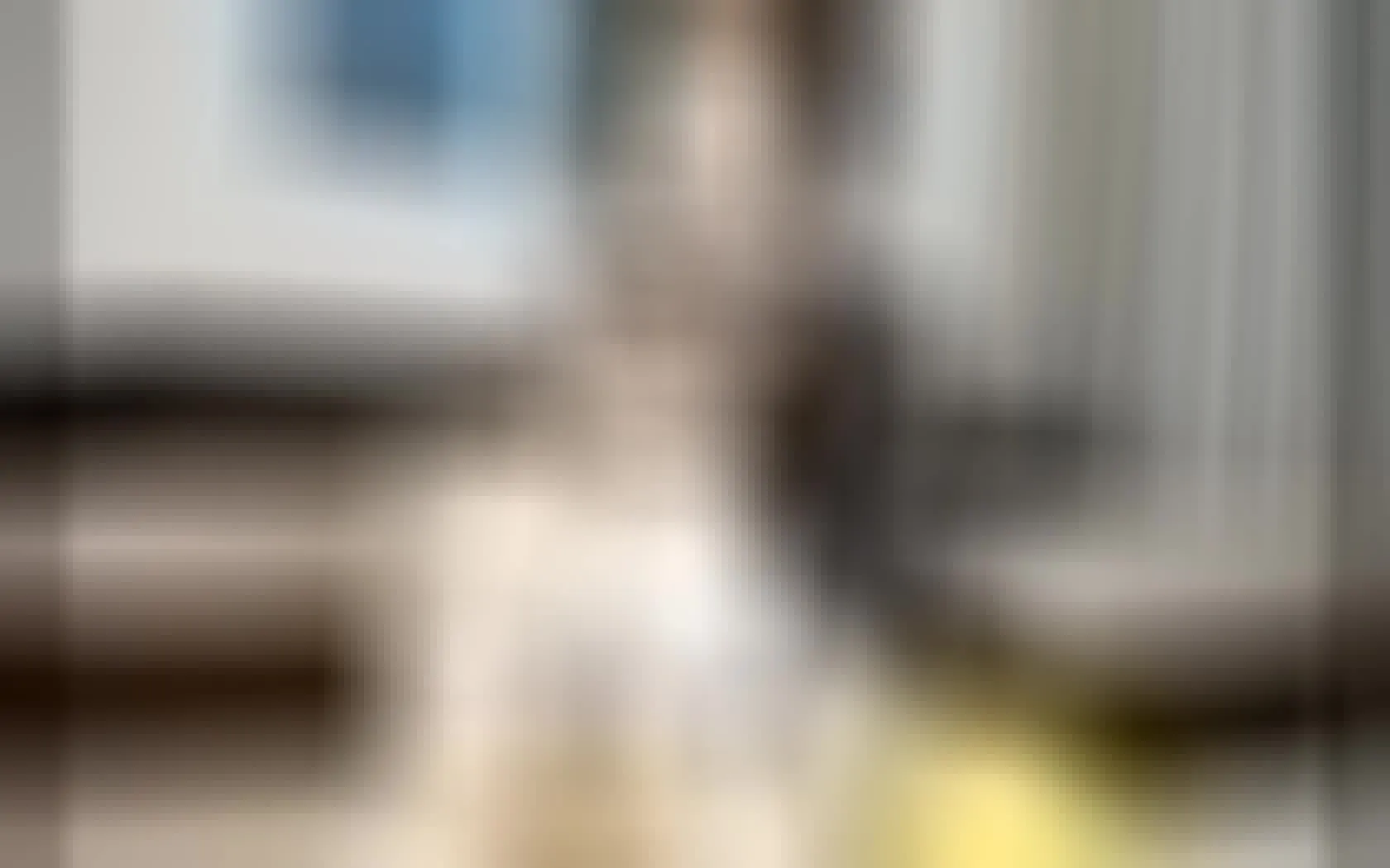 Interprète foxspirt Vidéo 1