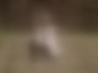 Foto de perfil de modelo de webcam de AstartesKiss