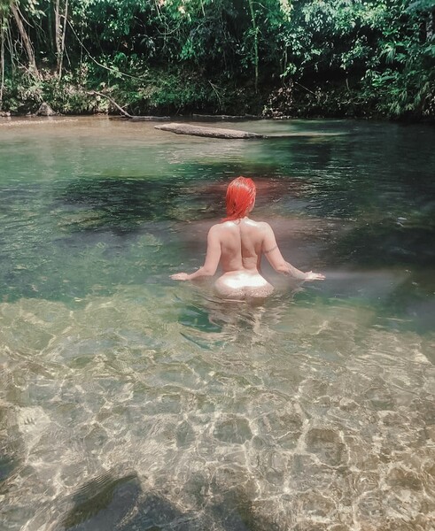 Interprete angieospina Foto 3