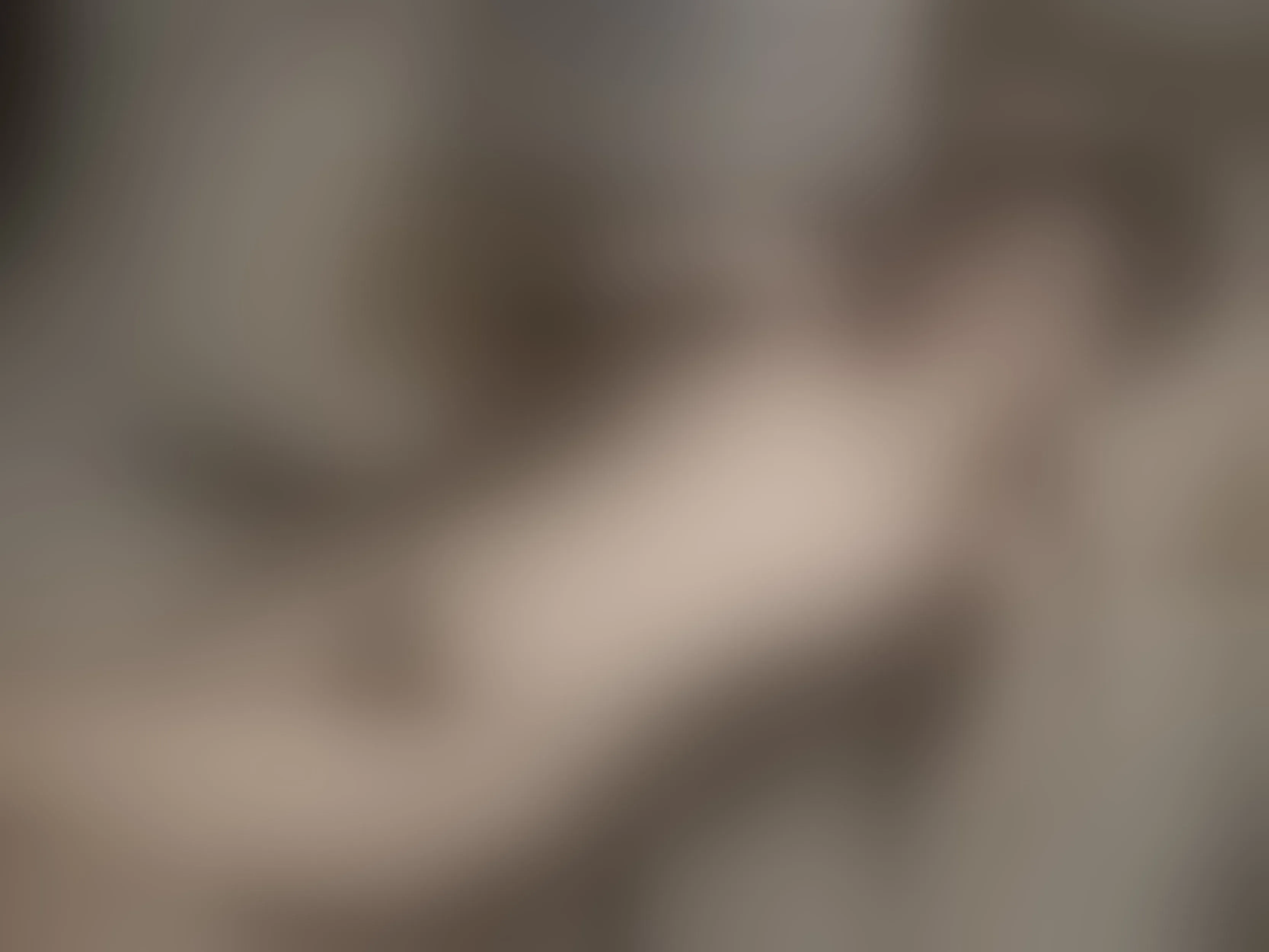 AishaDumontX immagine del profilo del modello di cam