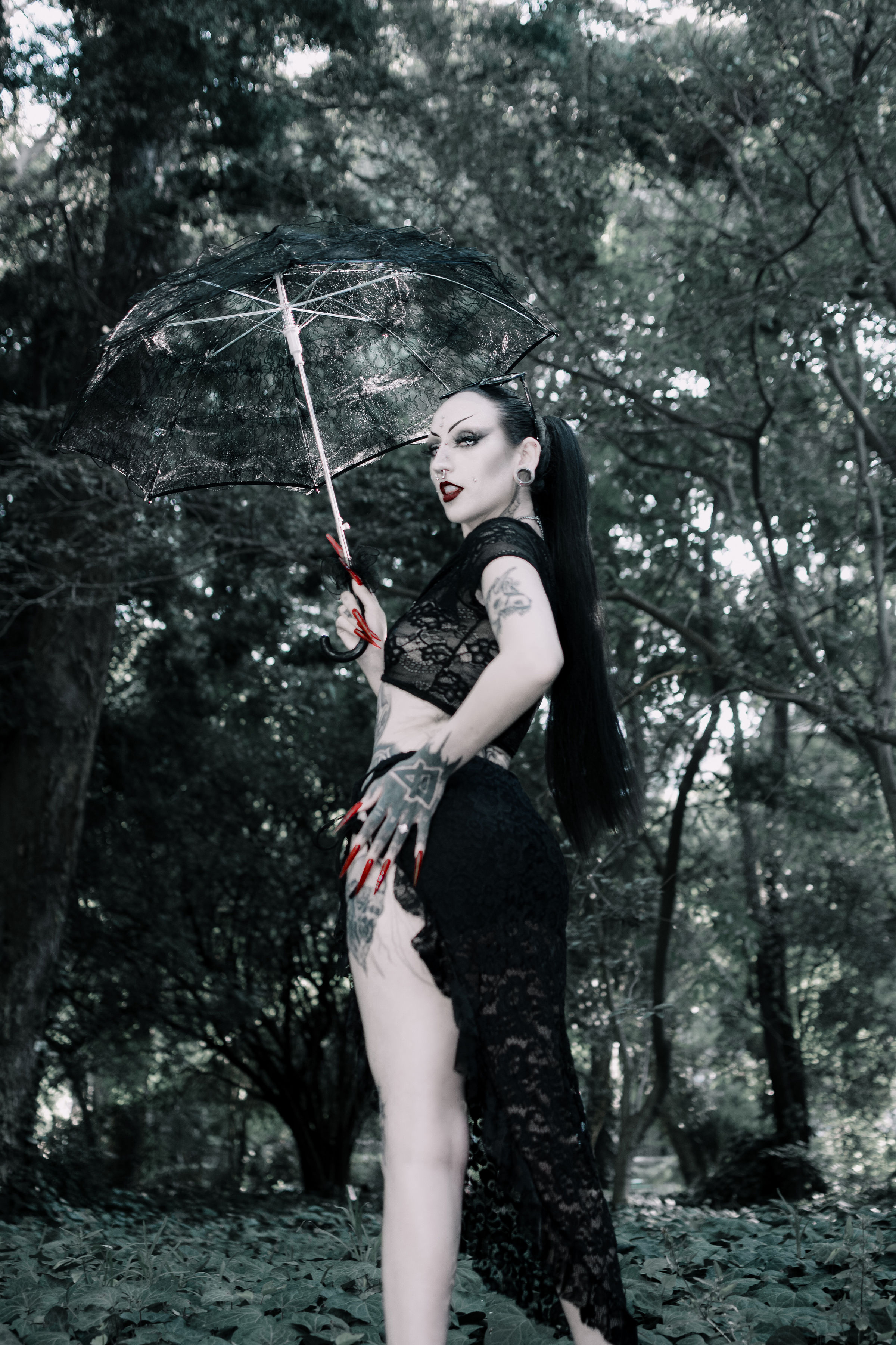 Interprète EmpressAmbrosia Photo 10