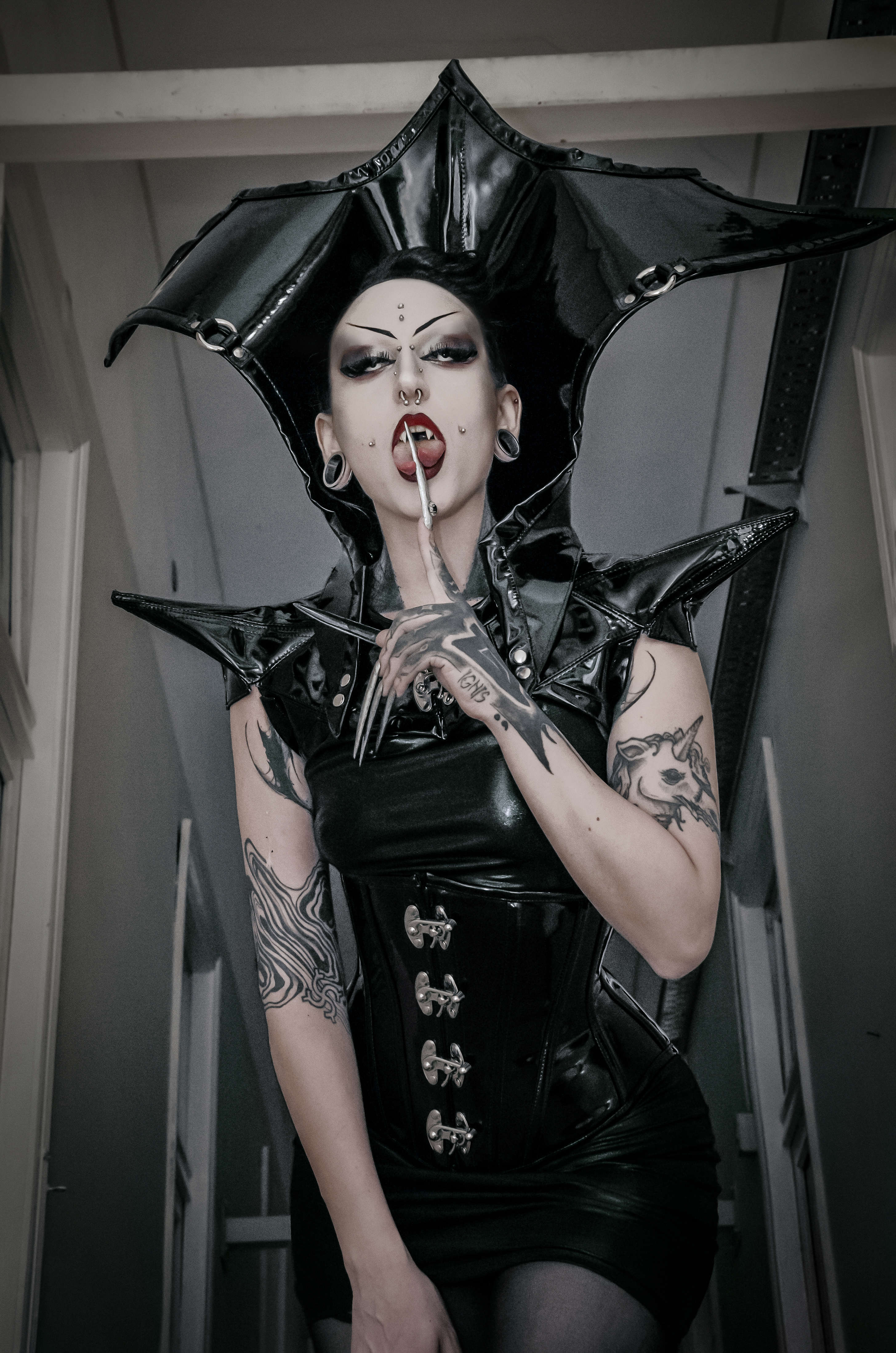 Interprète EmpressAmbrosia Photo 5