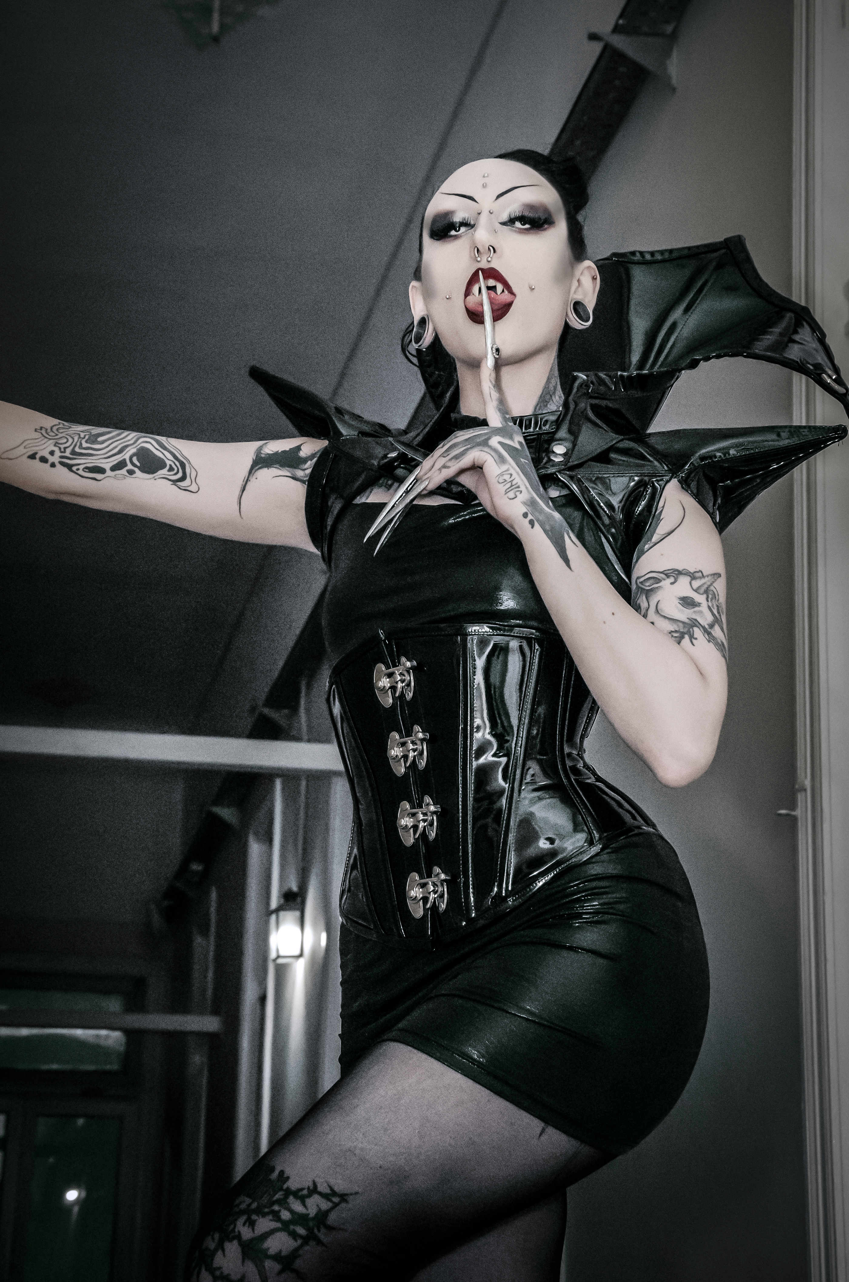 Interprète EmpressAmbrosia Photo 6