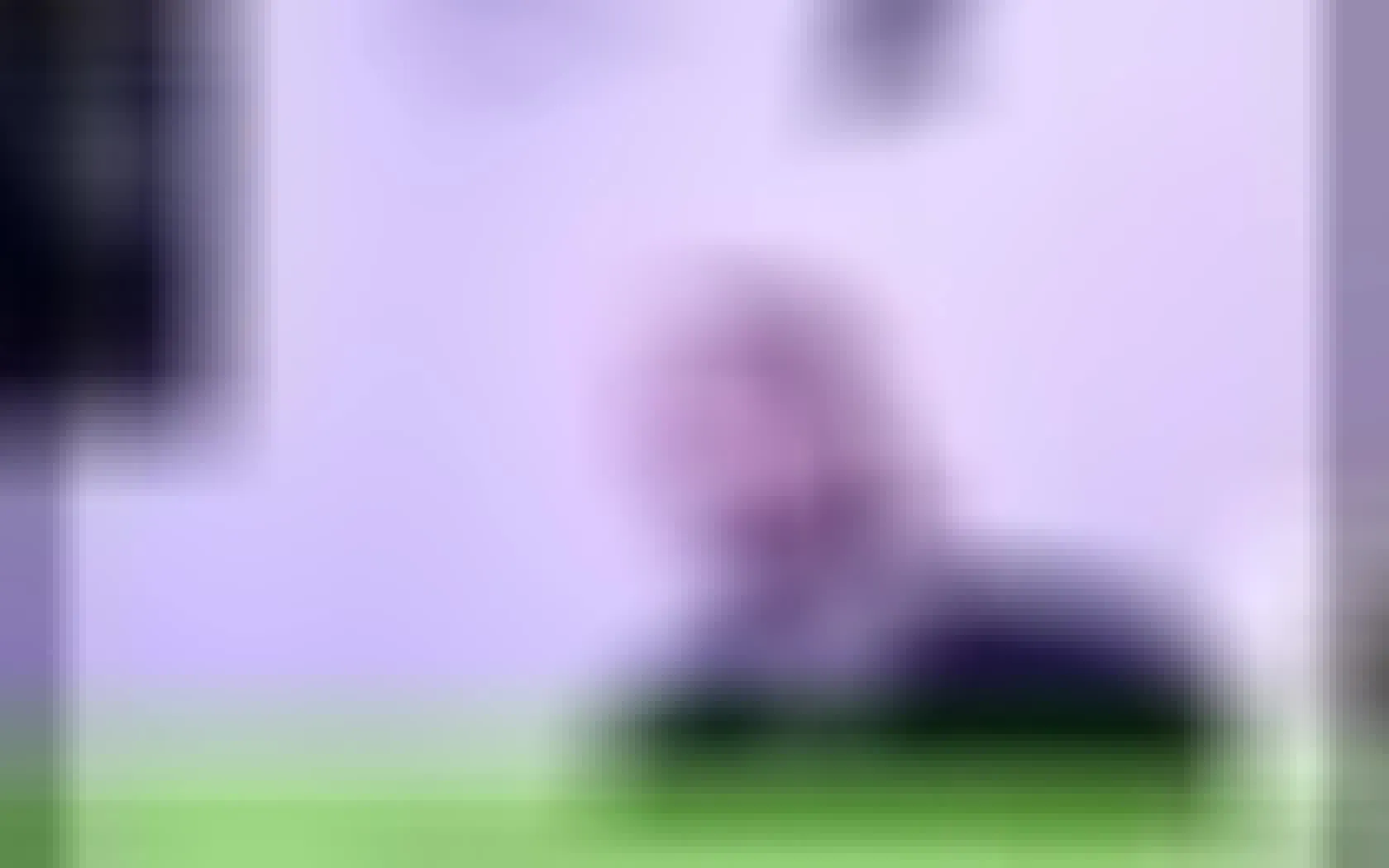 Artiest TylerJamess Video 1