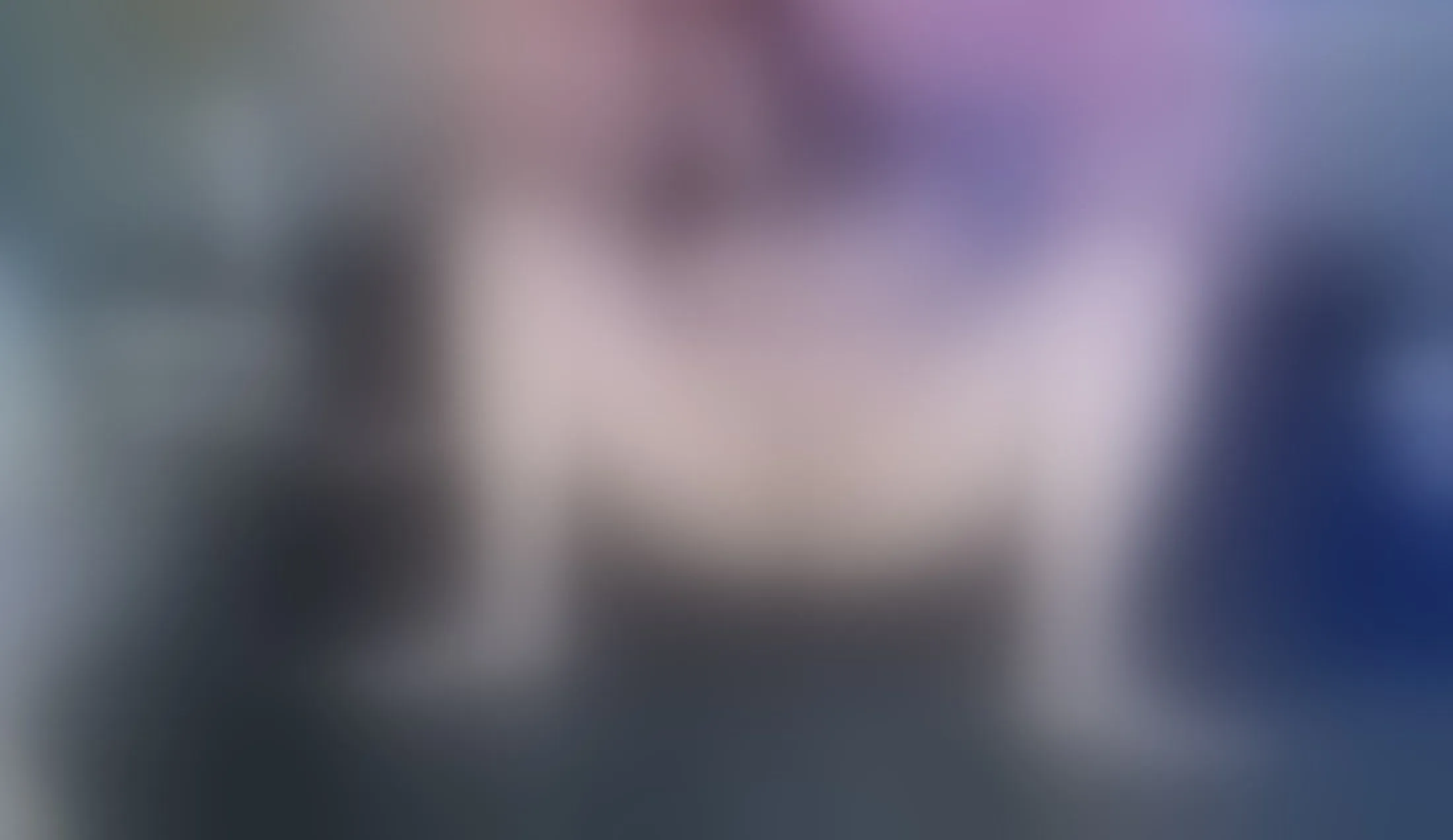 Artiest MarthinaBaker Video 3
