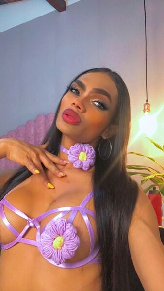 Artiest Rechellsolaar Foto 11