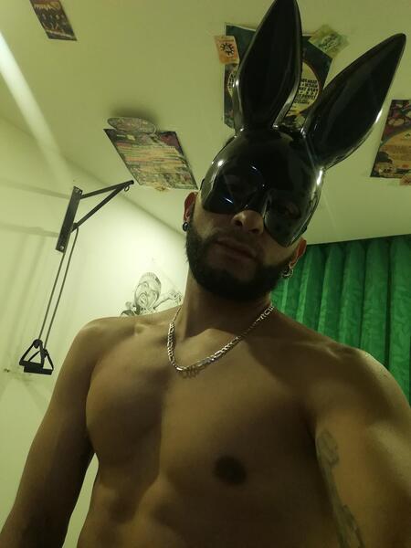 Artista Androd Foto 8