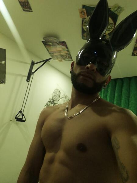 Artista Androd Foto 10