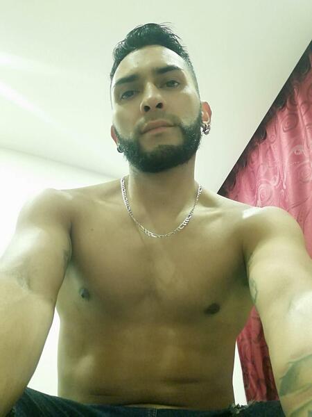 Artista Androd Foto 3