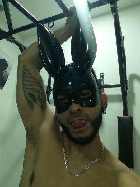 Artista Androd Foto 12