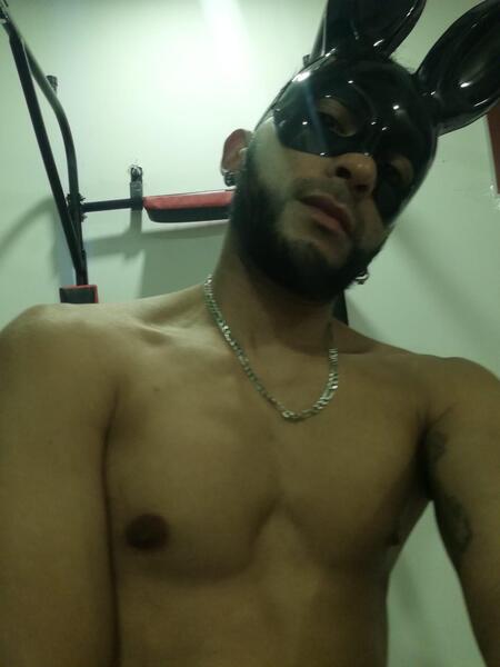 Artista Androd Foto 11