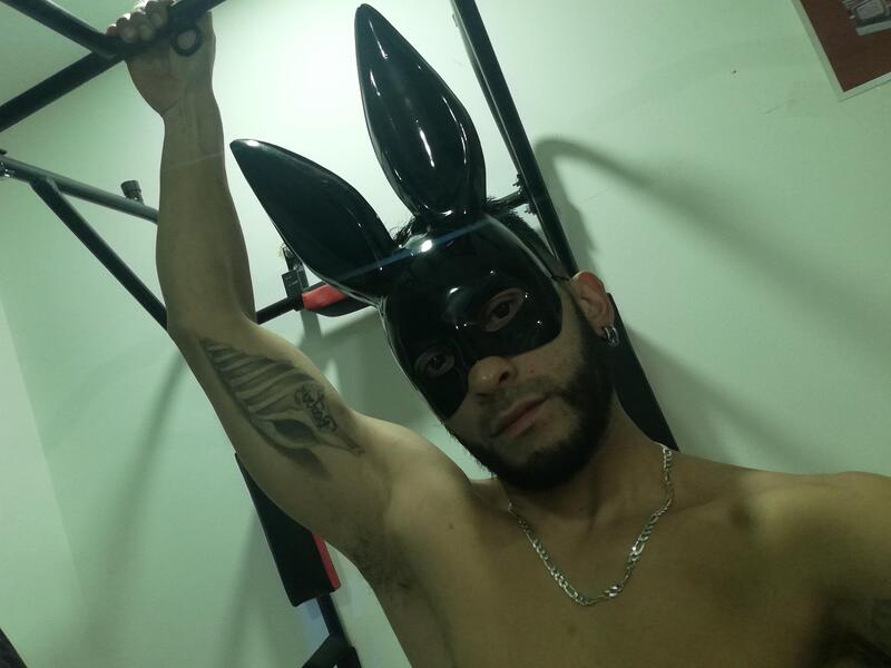 Artista Androd Foto 7