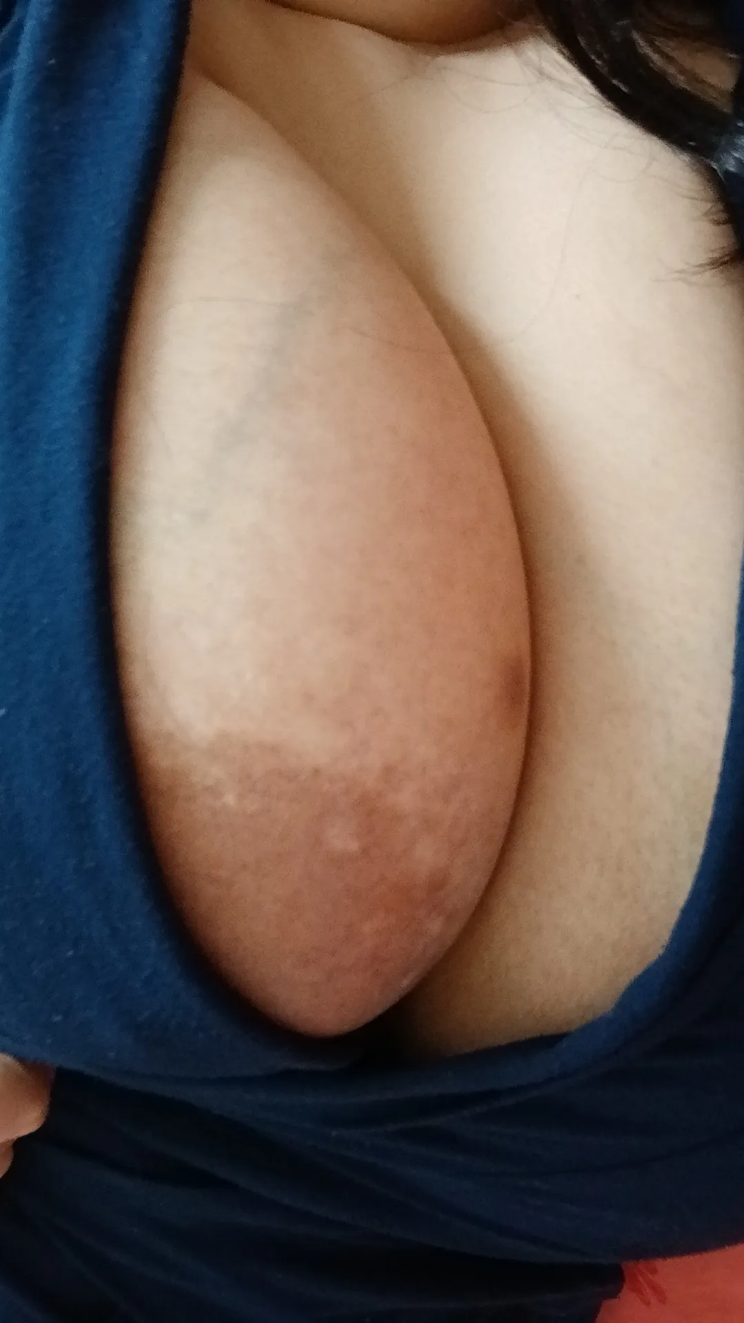 Interprète IndSaundarya Photo 1