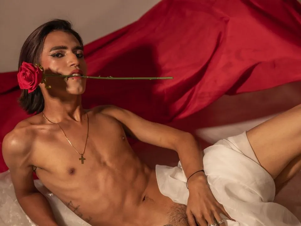 Jeanpaul19 Profilbild des Cam-Modells