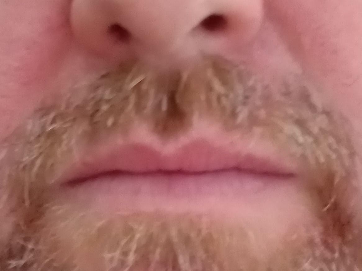 Davethegreat1234 Profilbild des Cam-Modells