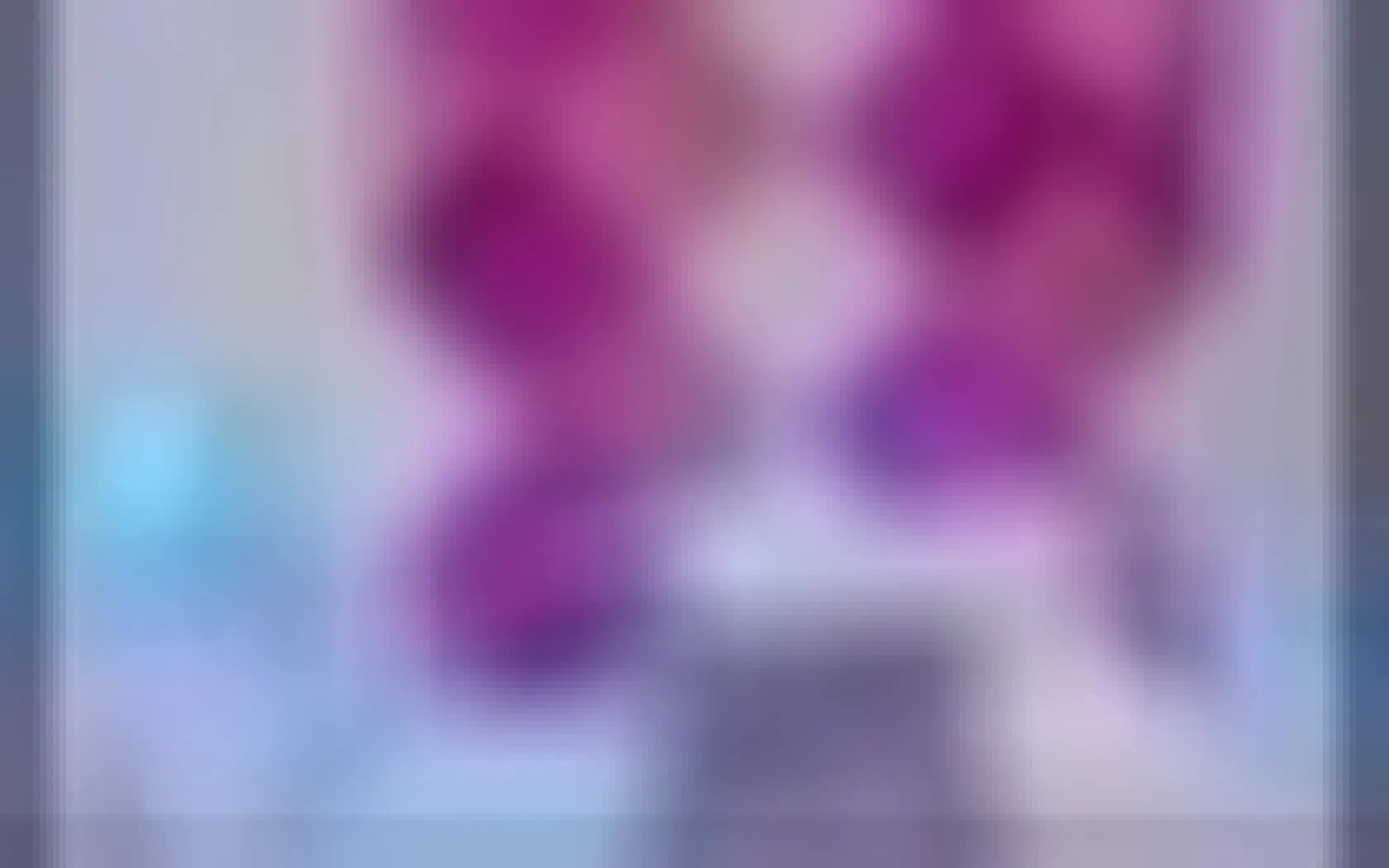 Interprète SofiNicholls Vidéo 1
