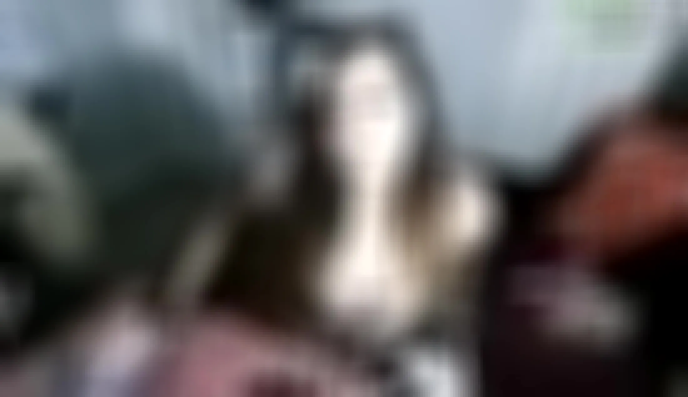 Interprete Xcxrosexo Video 1