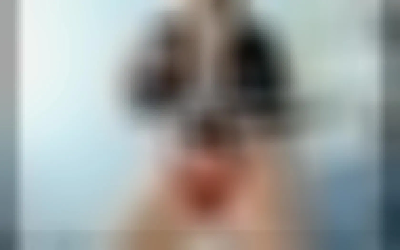 Artiest Minybunny69 Video 1