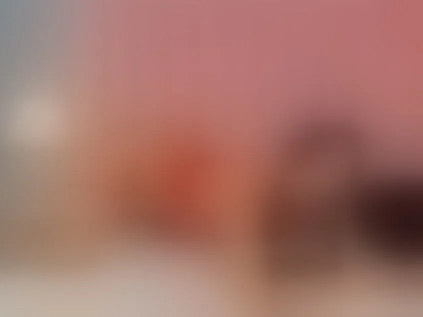 Imagen de perfil de modelo de cámara web de VeronicaLodge022
