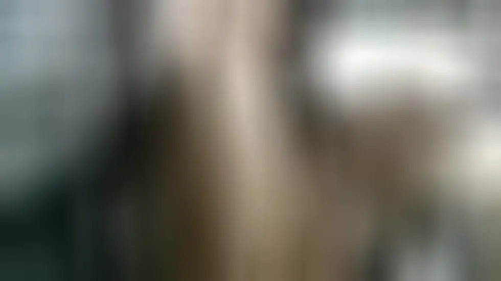Artiest PrettywomanBR Video 1