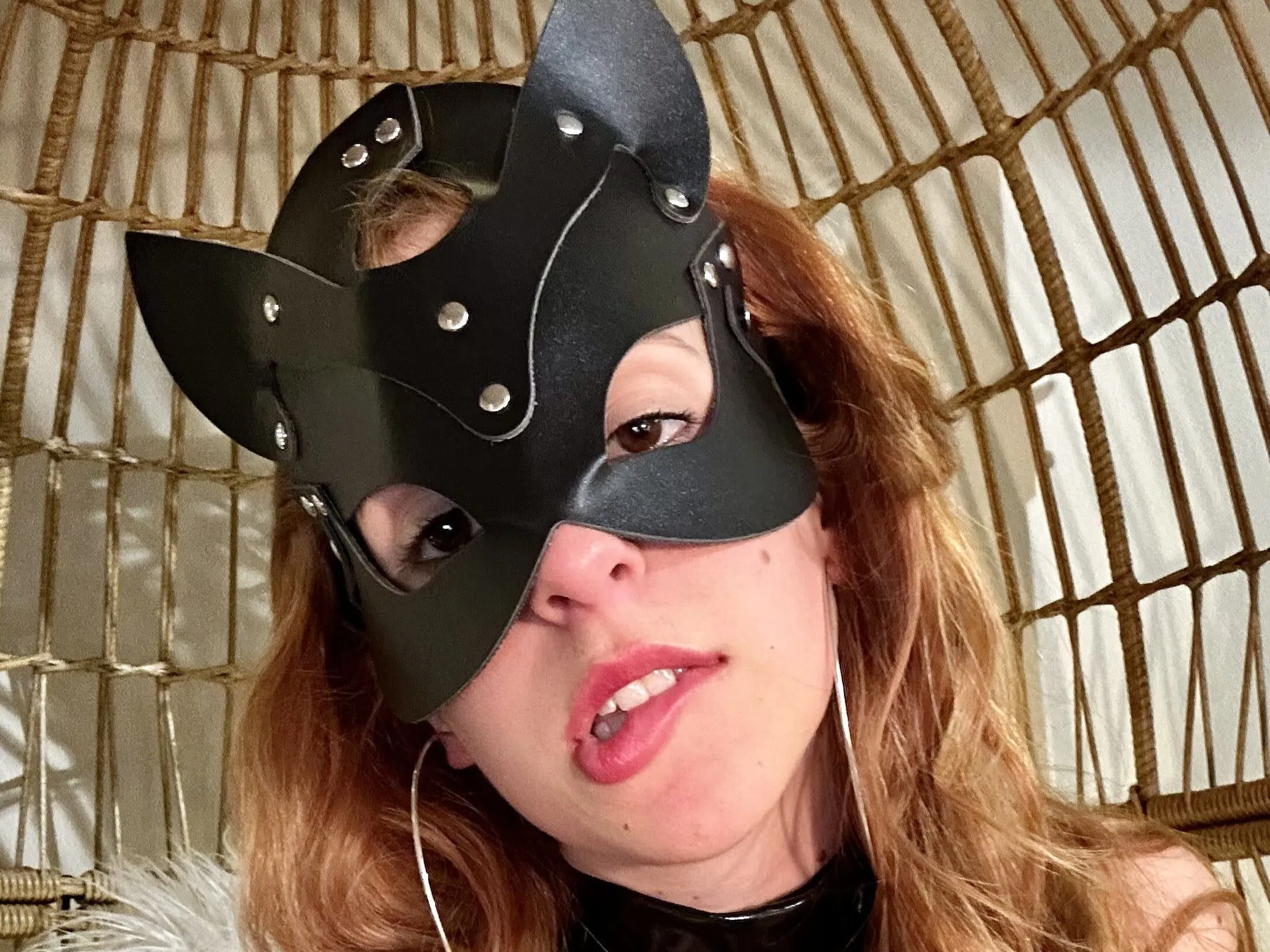Foxxybee profielfoto van cam model