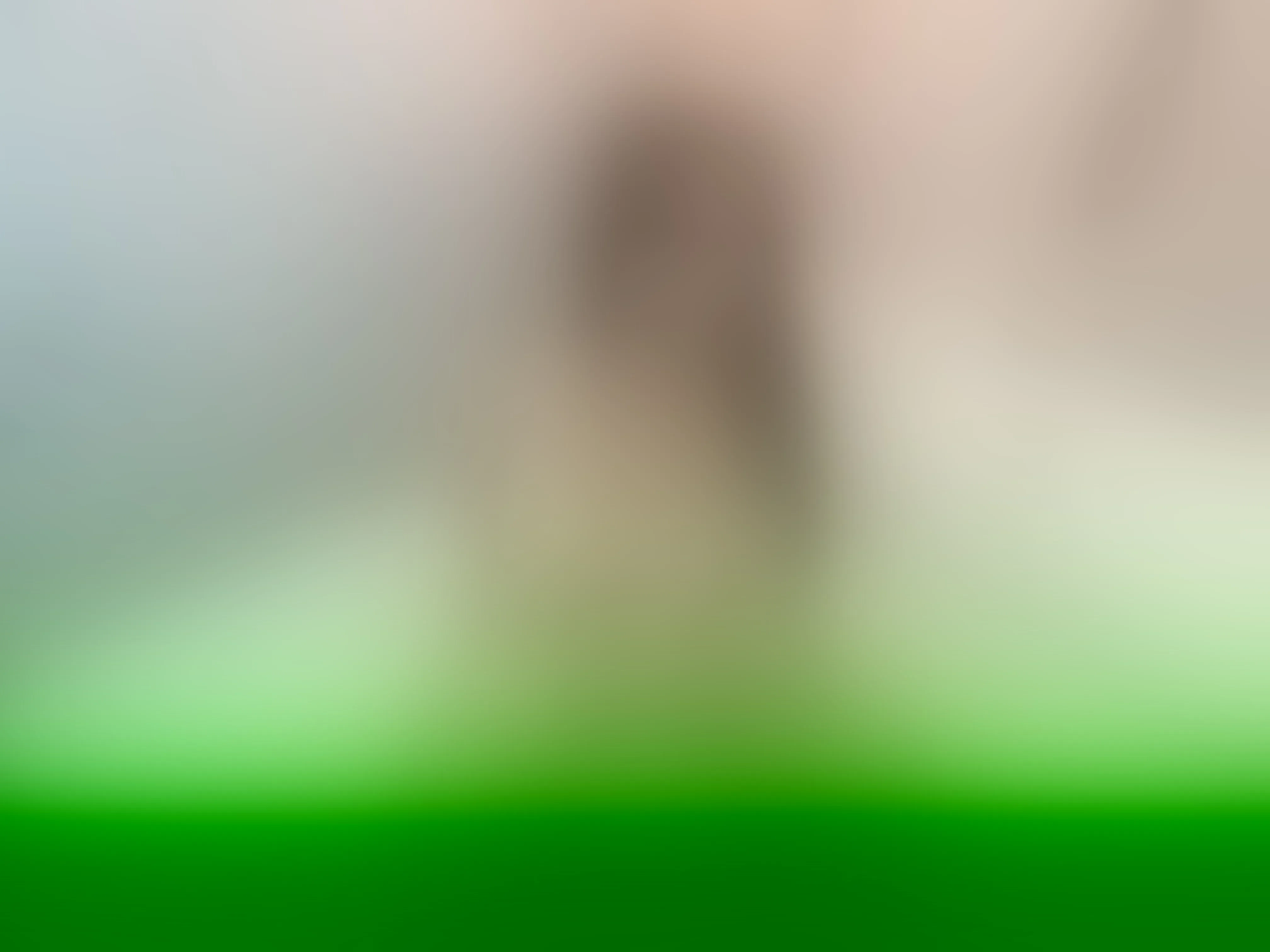 LilaMyers profilbild på webbkameramodell