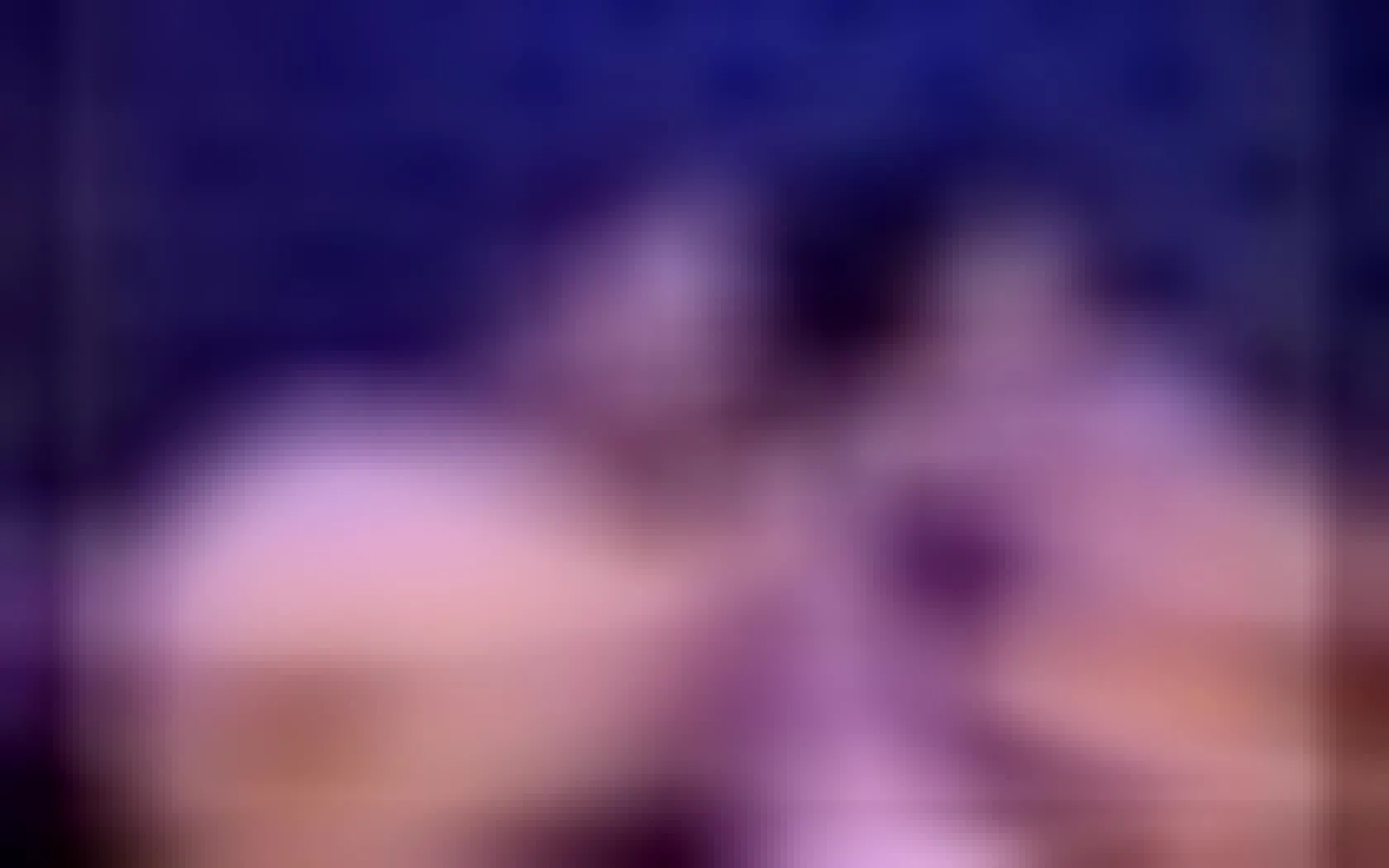 Artista MiichelleBaker Video 1