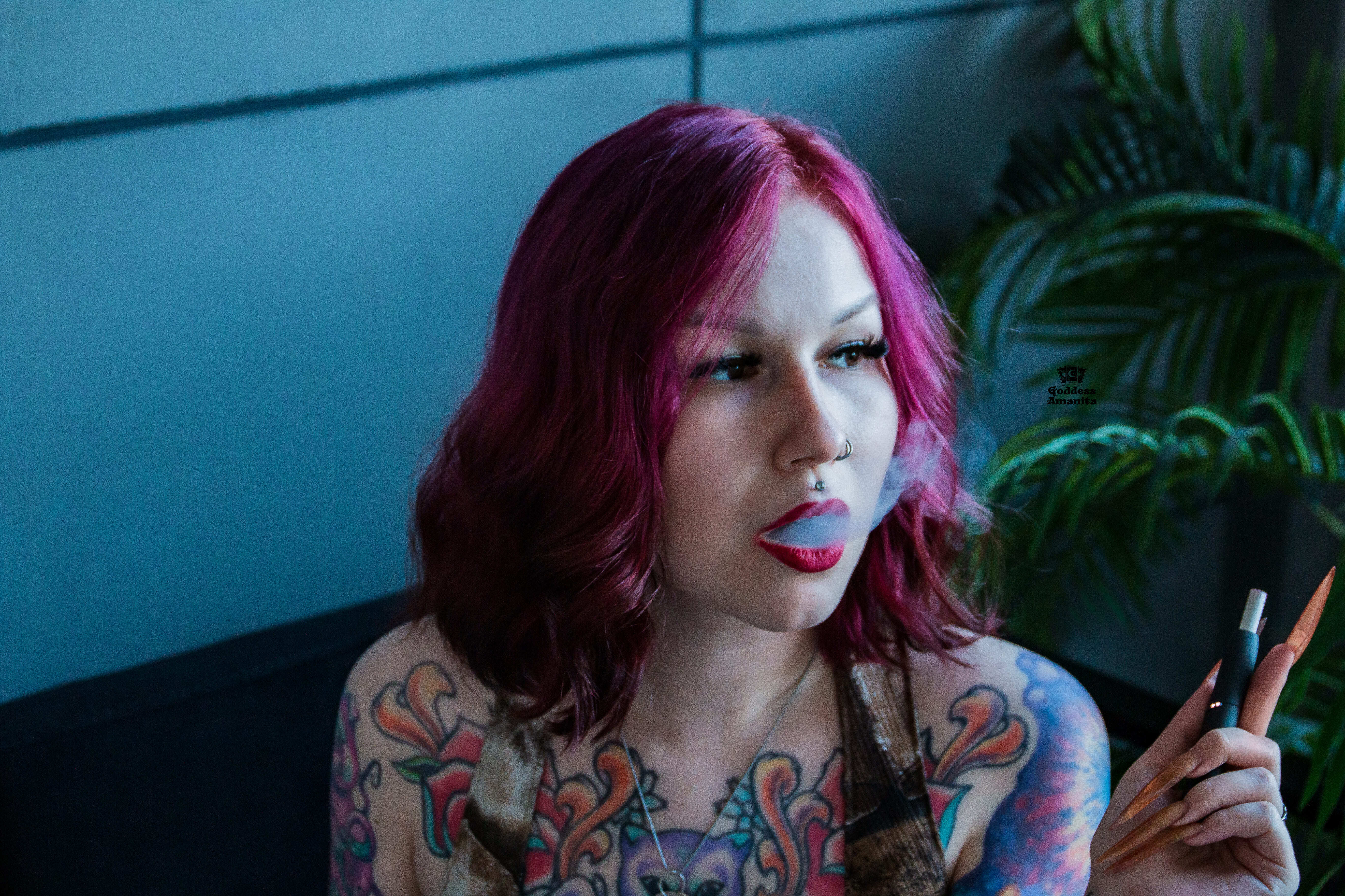 Interprète AmanitaPantherina69 Photo 2