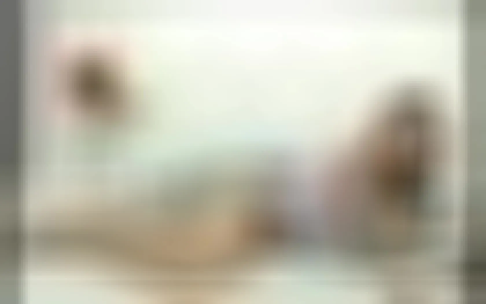 Artist SuzaneRusso Video 1
