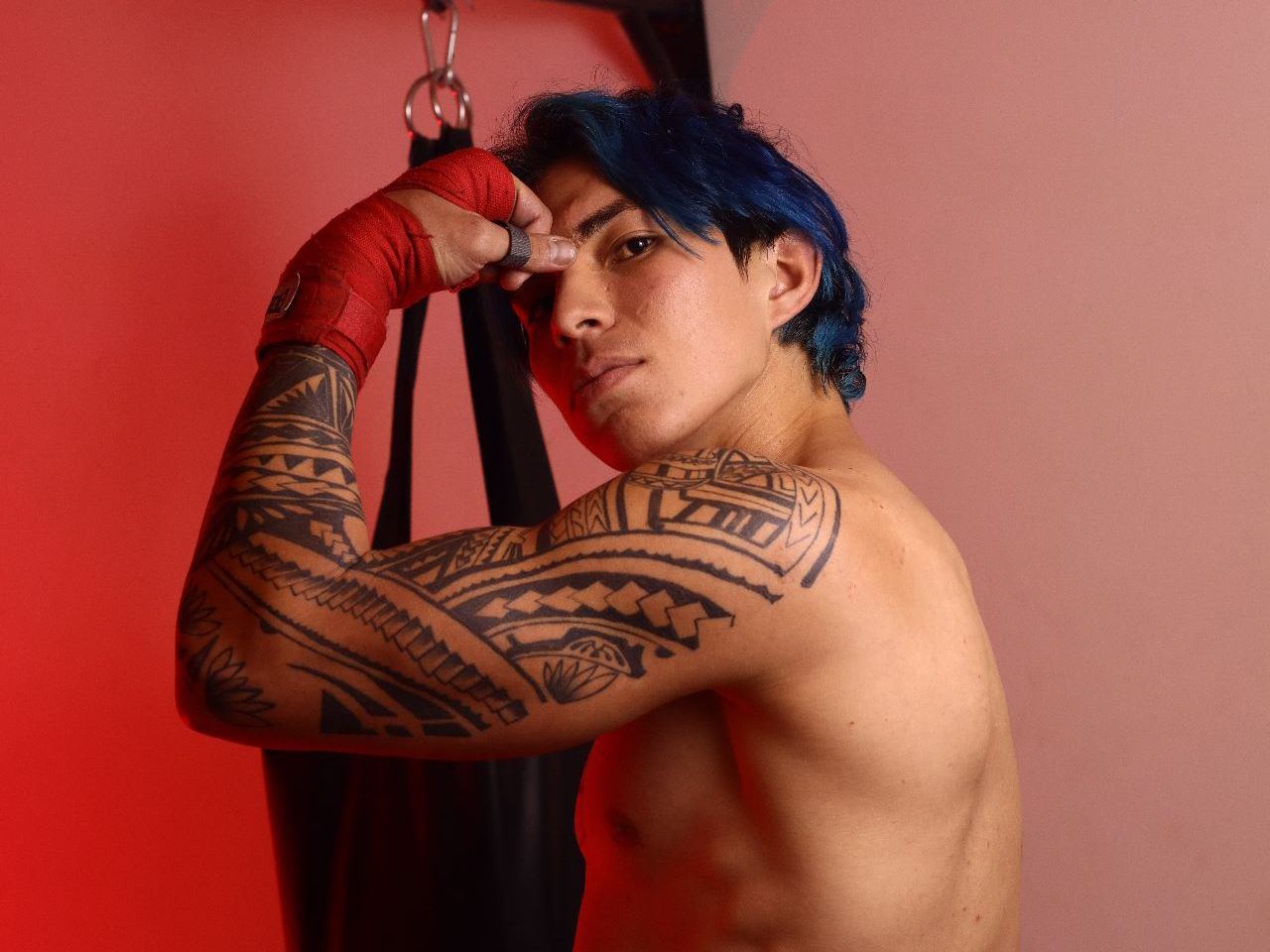 Imagen de perfil de modelo de cámara web de Musclekorean