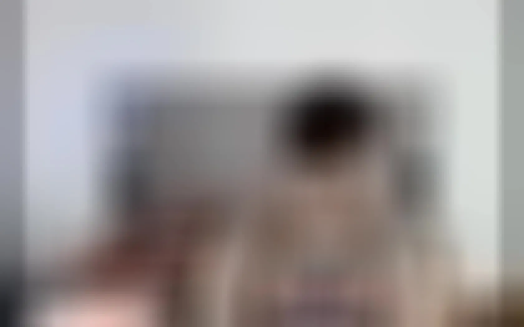 Artista Justinthonson Video 1