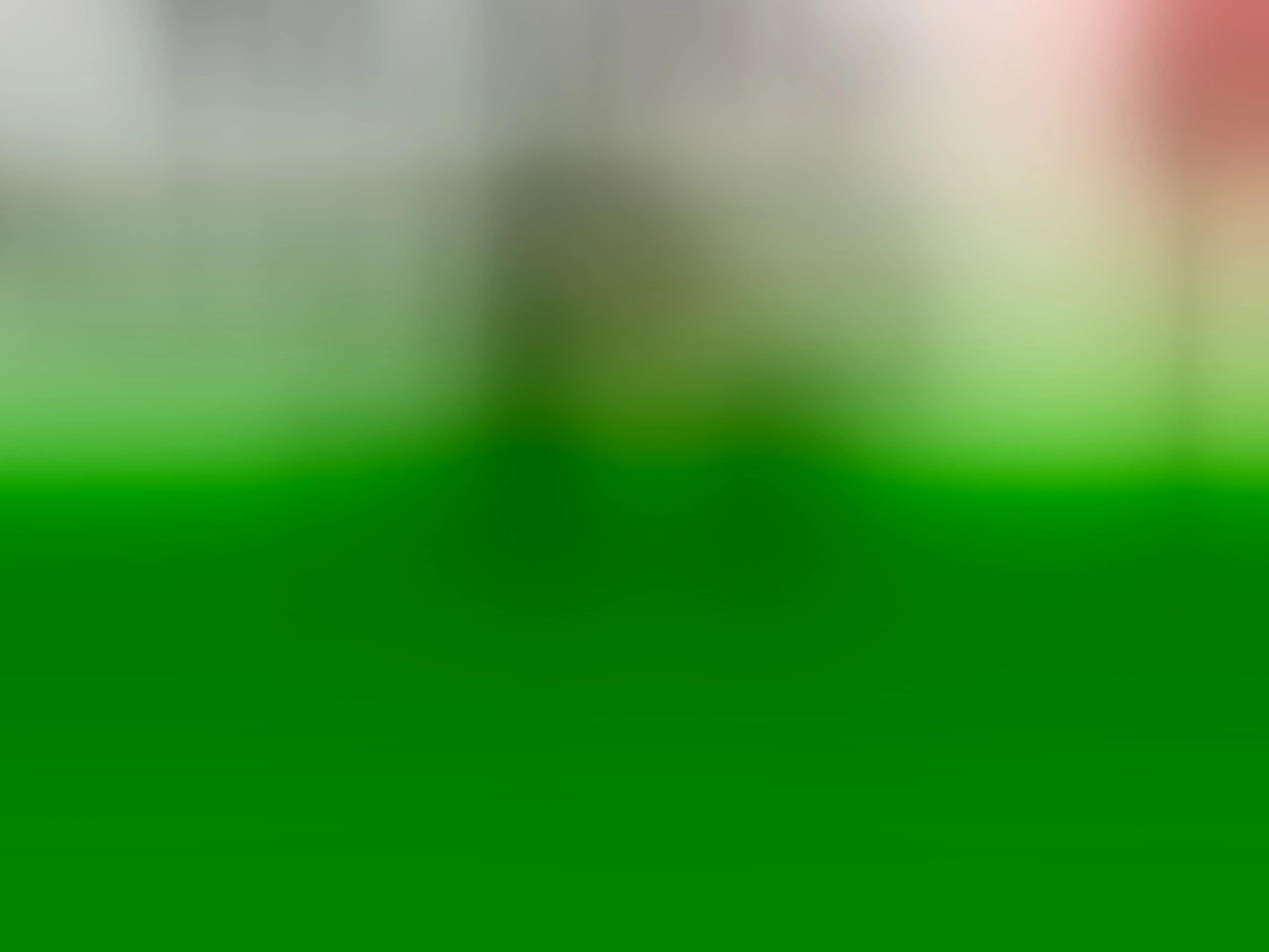 TamaraLubezki Profilbild des Cam-Modells