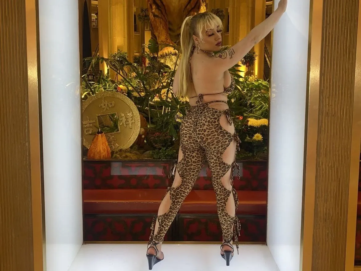 Imagen de perfil de modelo de cámara web de Dixiebubbles