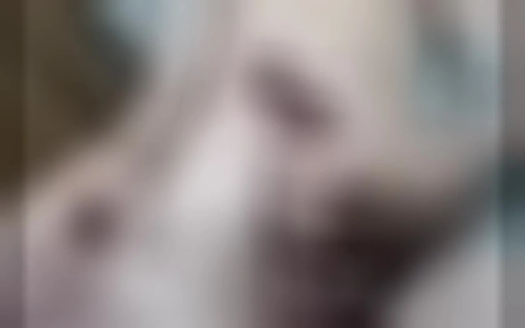 Interprète zackvega Vidéo 1