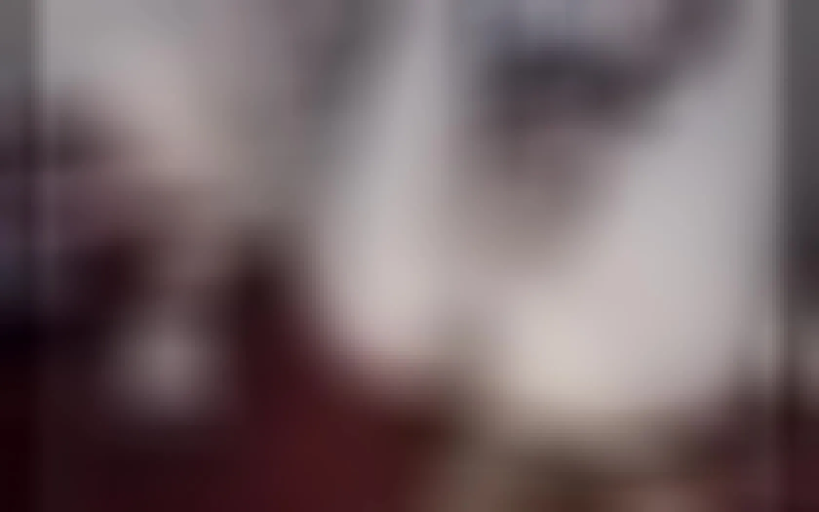 Artista ChicolatinHot Video 1