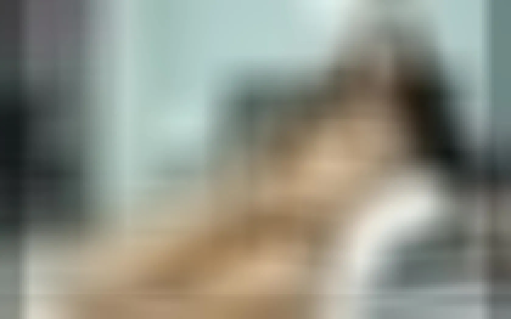 Interprete JuanaGomexxx Video 1