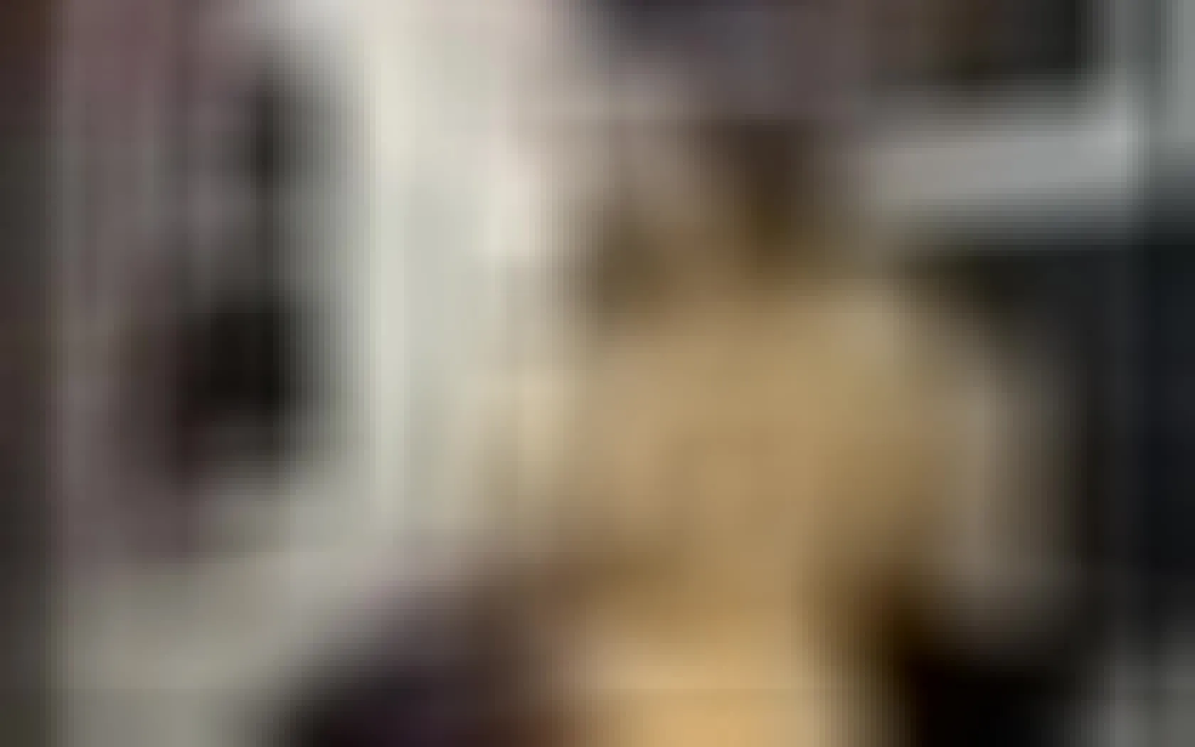 Artista marycan Video 1