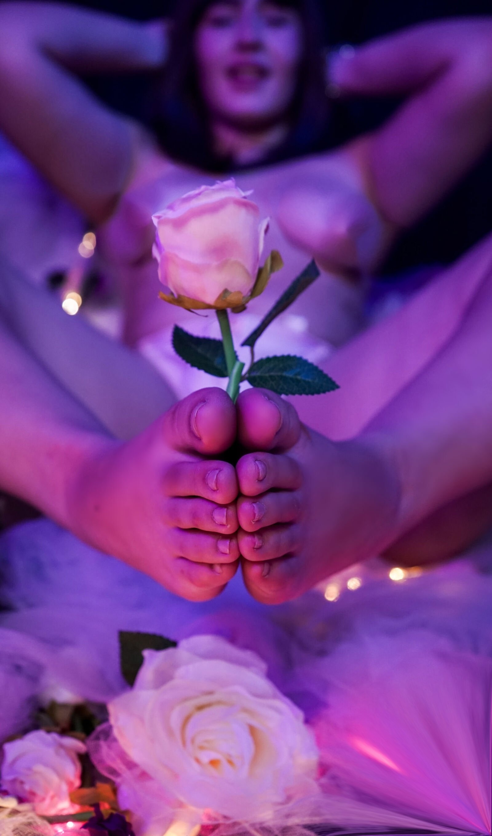 Interprete Allegrawide Foto 5