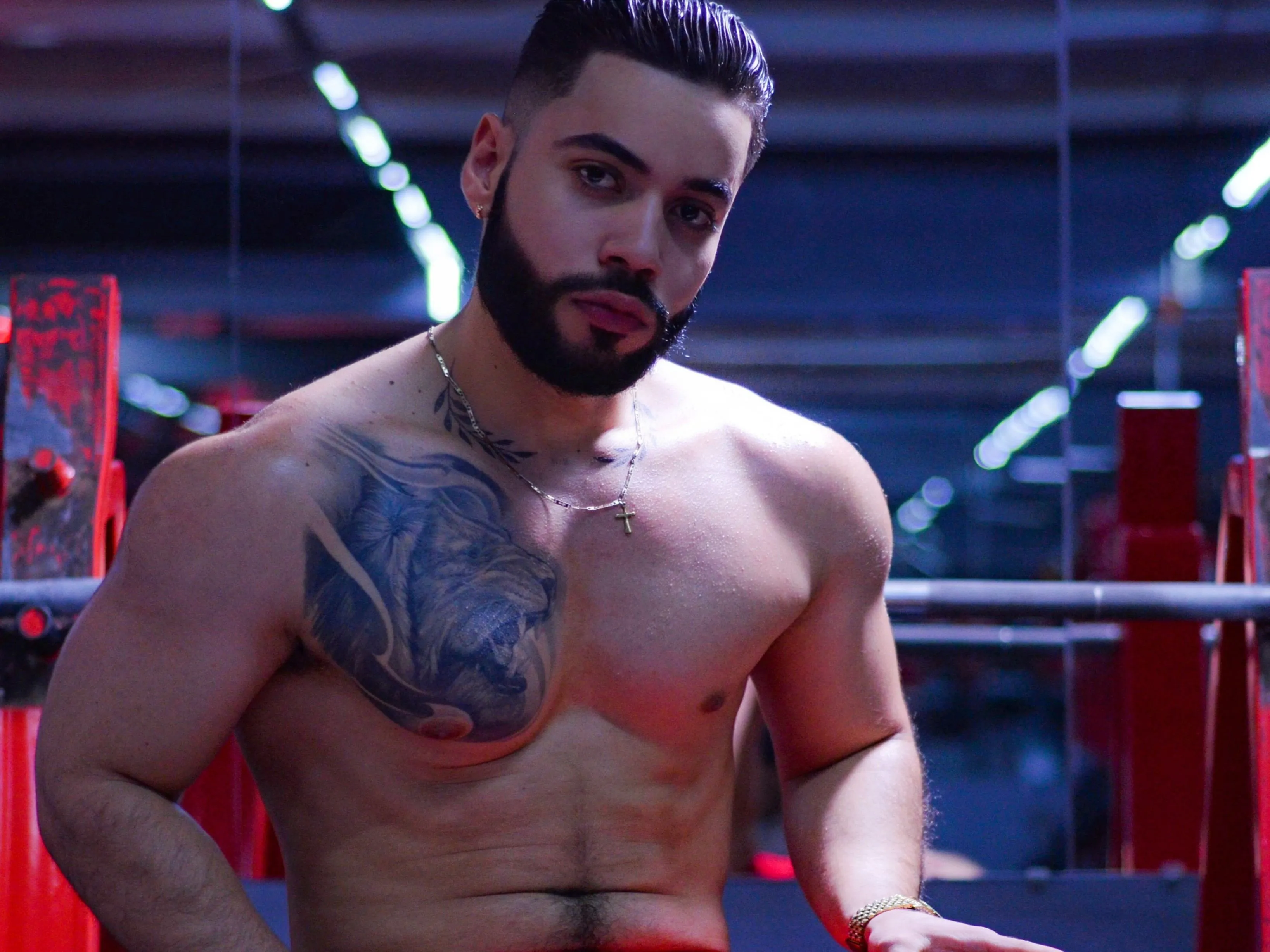 SadamHusein Profilbild des Cam-Modells