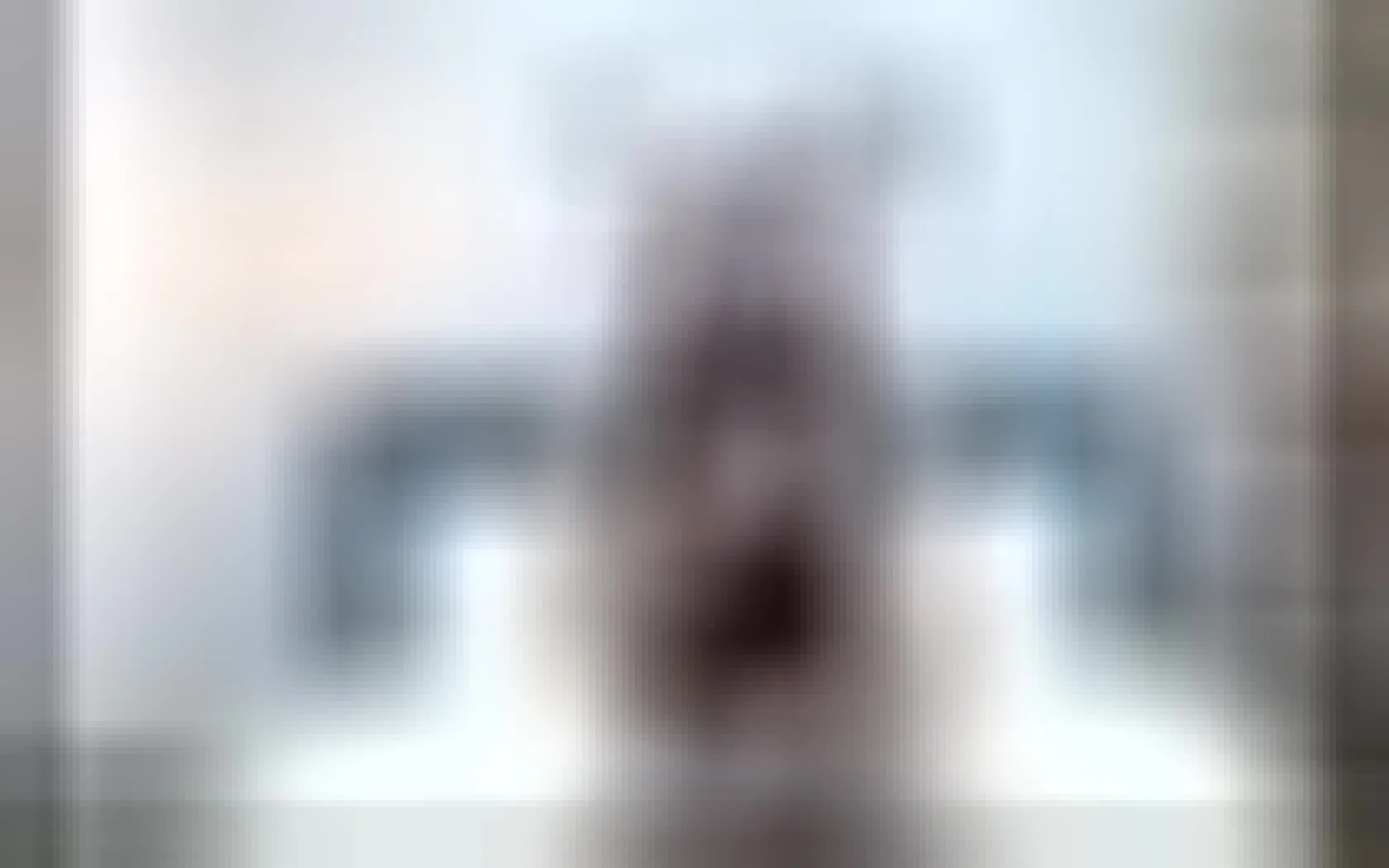 Utøver BellaGartner Video 1