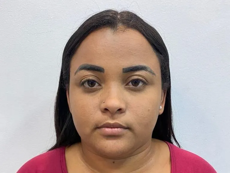 brittanysta profilbild på webbkameramodell