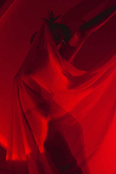 Performer LucreciaAltagracia Photo 6