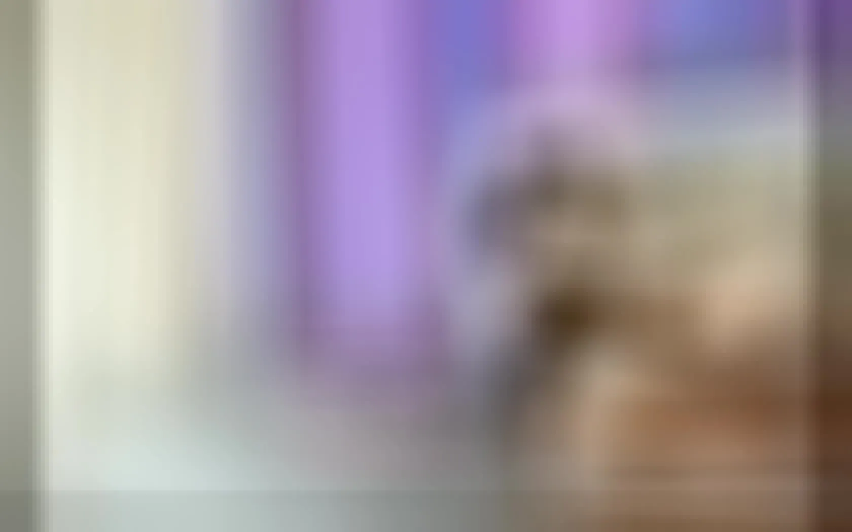 Artiest chicaleja233 Video 1