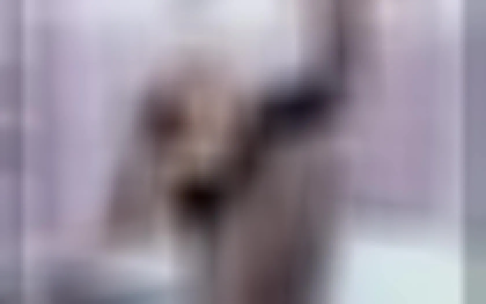Interprete SharonBurton Video 1