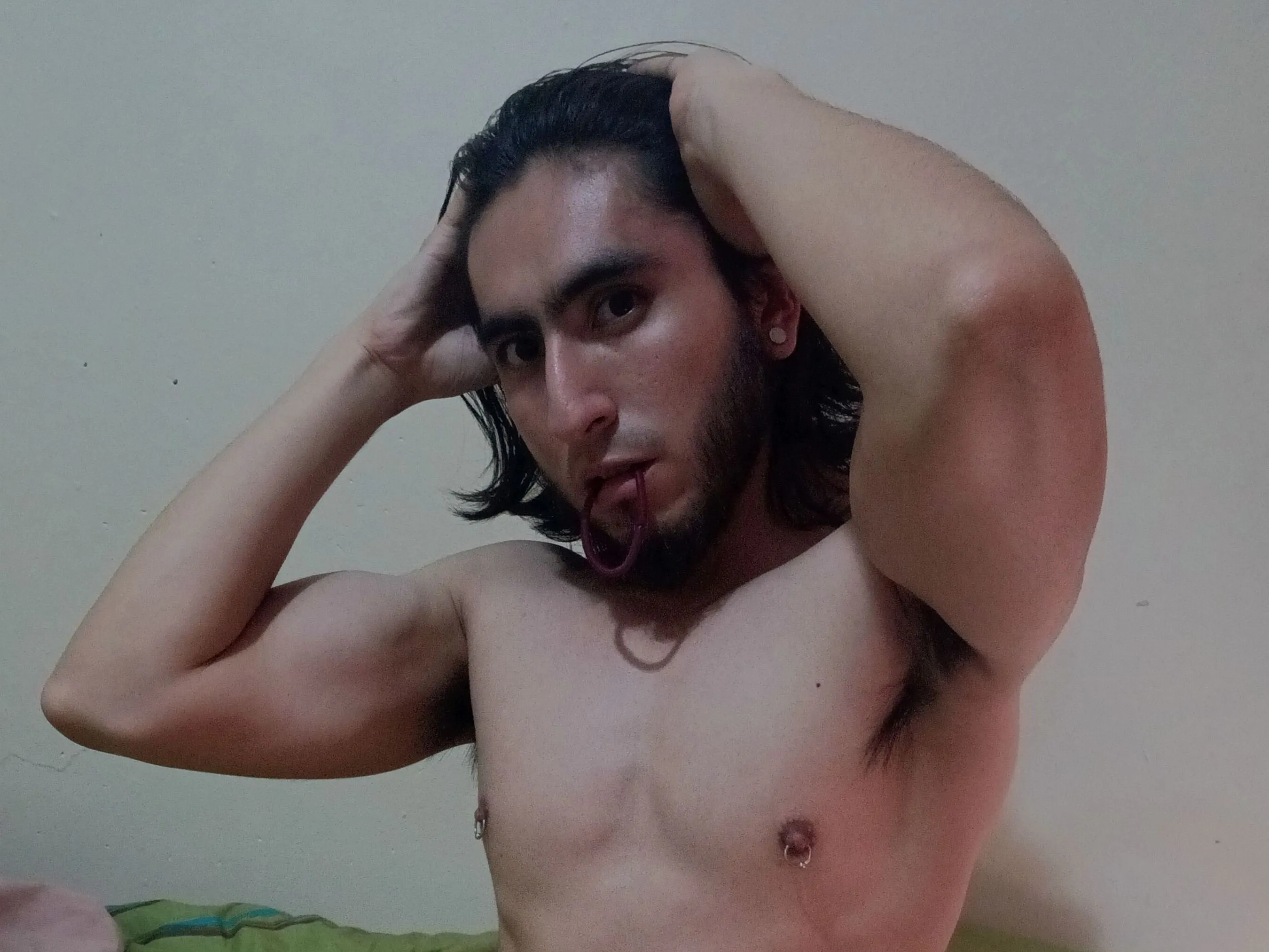 Argiroma Profilbild des Cam-Modells