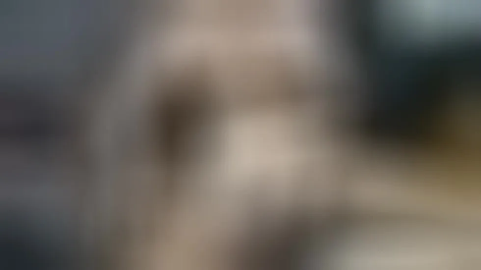 Utøver Speedboyy Video 1