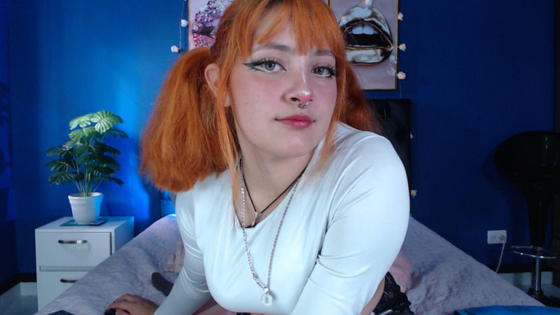 Interprète hinakosatorii Photo 3