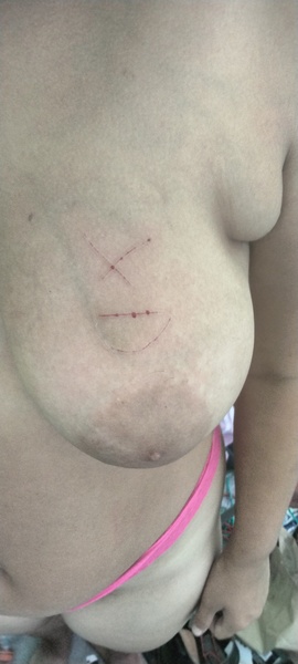 Artiest SafiraMoonFire Foto 4